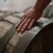 Il Rum, storia e nascita del distillato di canna da zucchero